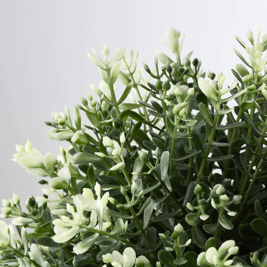 PAPERI Artificial Thyme Plant for Home Décor