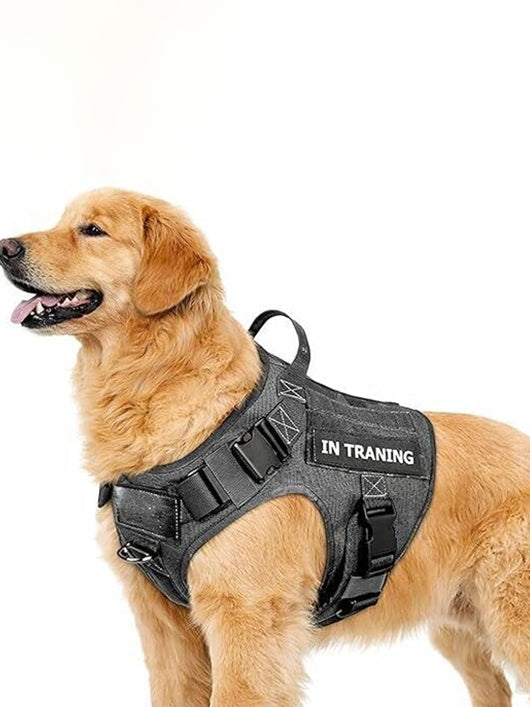BlingPets Dog Buckle Harness (Extra Large, Black)