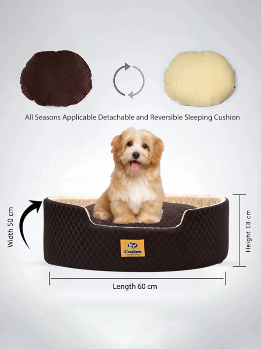 CozyPaws Dog & Cat Washable Beds for Indoor Pets & Puppy, Dog Bed Sofa for Dogs S Pet Bed (Brown/Cream)