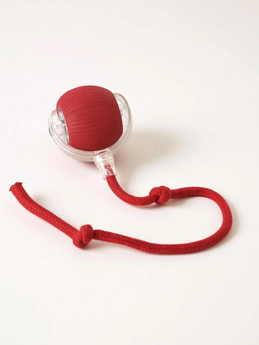 decorvaiz Rubber Ball For Dog & Cat
