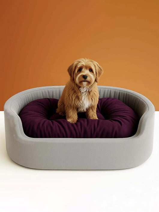 HAVEN STYLISH Luxury Simple Sofas , Beds For Dog And Cat S Pet Bed (Full Grey, Purple)