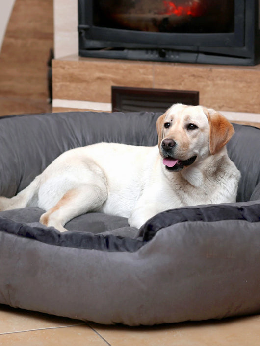 Royals Rore Best Comfortable 4Xl Large Dog Beds for cat and puppy XXXL Pet Bed (blue)
