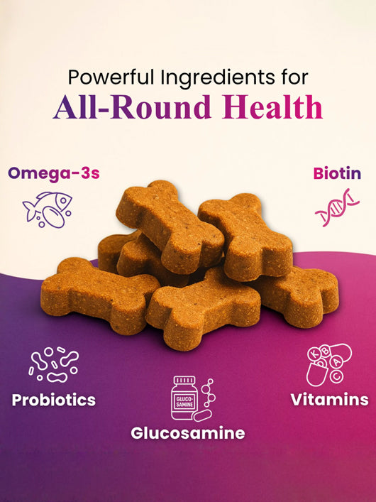 Pet Royale Daily One Supplement for Dogs – Multivitamin – Hip & Joint, Skin & Coat, Pet Health Supplements (60 Pieces)