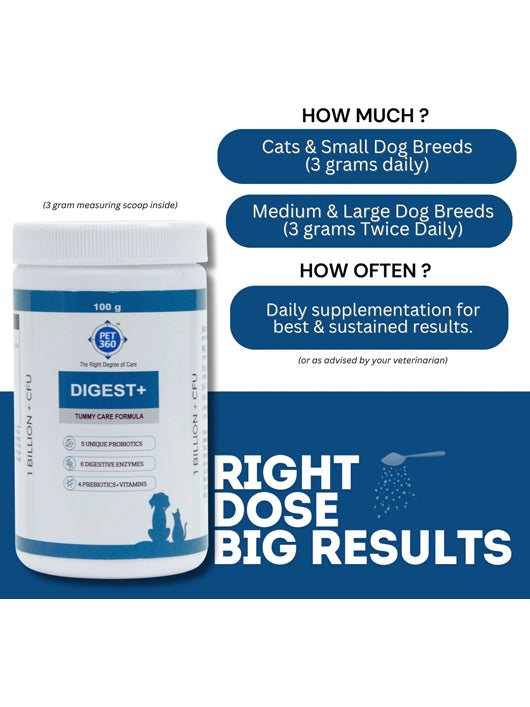 PET360 Digest+ Tummy Care Formula| Probiotics, Prebiotics, Digestive Enzymes & Vitamins Pet Health Supplements (100 g)