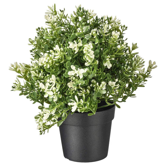 PAPERI Artificial Thyme Plant for Home Décor