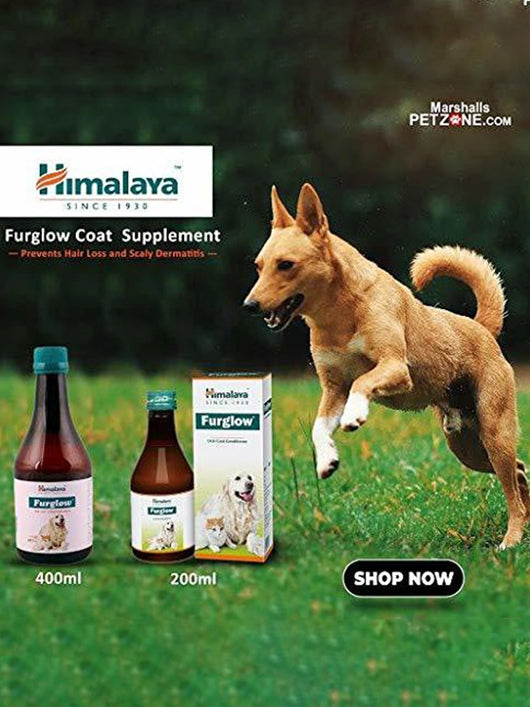 Himalaya furglow skin and coat tonic for pets 400 ML PET health supplements (400 ML)