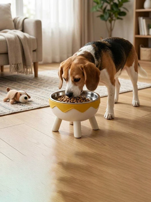 Nutripetix Premium Elevated Stainless Steel Dog & Cat Bowl (Yellow & White) Stainless Steel Pet Bowl