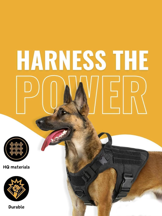 BlingPets Dog Buckle Harness (Extra Large, Black)