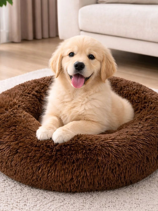 Zexsazone Pet Bed for Cats and Puppies Dogs S Pet Bed (Brown)