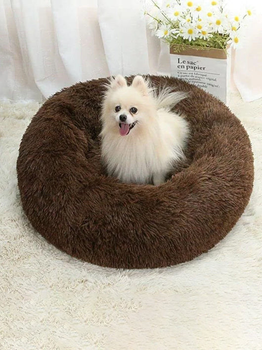 Zexsazone Pet Bed for Cats and Puppies Dogs S Pet Bed (Brown)
