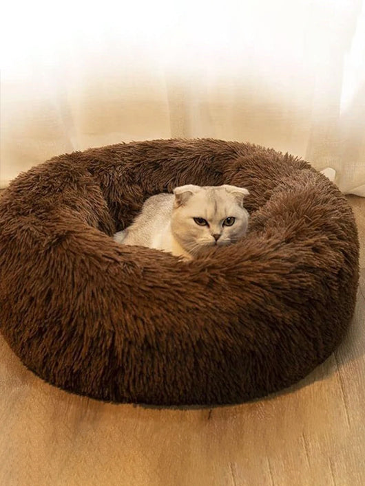 Zexsazone Pet Bed for Cats and Puppies Dogs S Pet Bed (Brown)