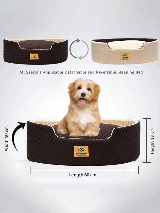 CozyPaws Dog & Cat Washable Beds for Indoor Pets & Puppy, Dog Bed Sofa for Dogs S Pet Bed (Brown/Cream)