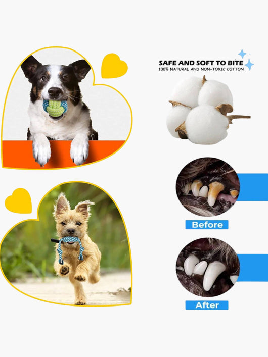 decorvaiz Dog Chew & Rope Toy Set (5 Pic)