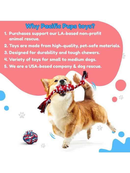 decorvaiz Dog Chew & Rope Toy Set (5 Pic)
