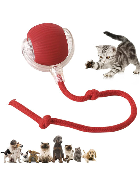 decorvaiz Rubber Ball For Dog & Cat