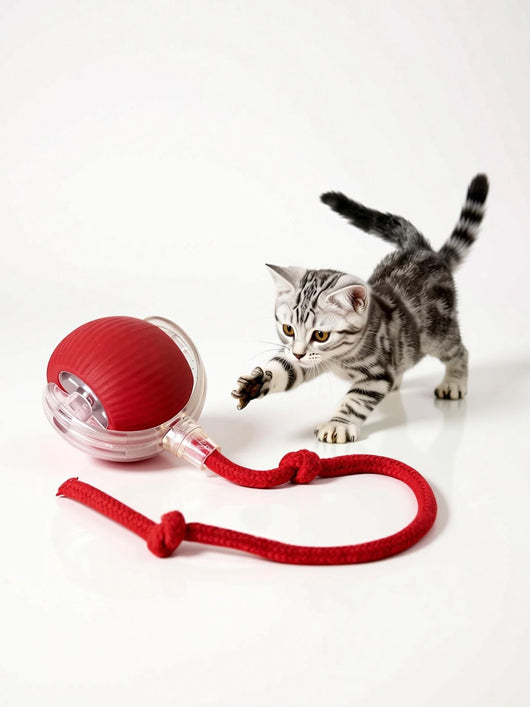 decorvaiz Rubber Ball For Dog & Cat