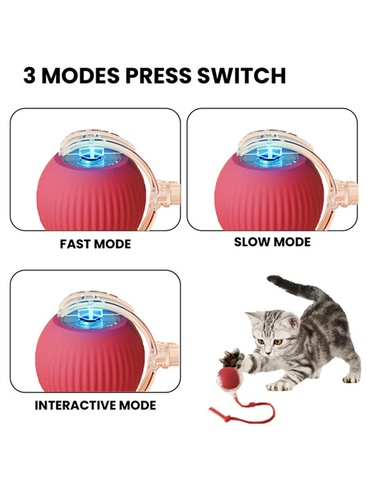 decorvaiz Rubber Ball For Dog & Cat
