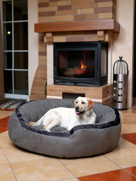 Royals Rore Best Comfortable 4Xl Large Dog Beds for cat and puppy XXXL Pet Bed (blue)