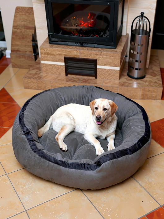 Royals Rore Best Comfortable 4Xl Large Dog Beds for cat and puppy XXXL Pet Bed (blue)