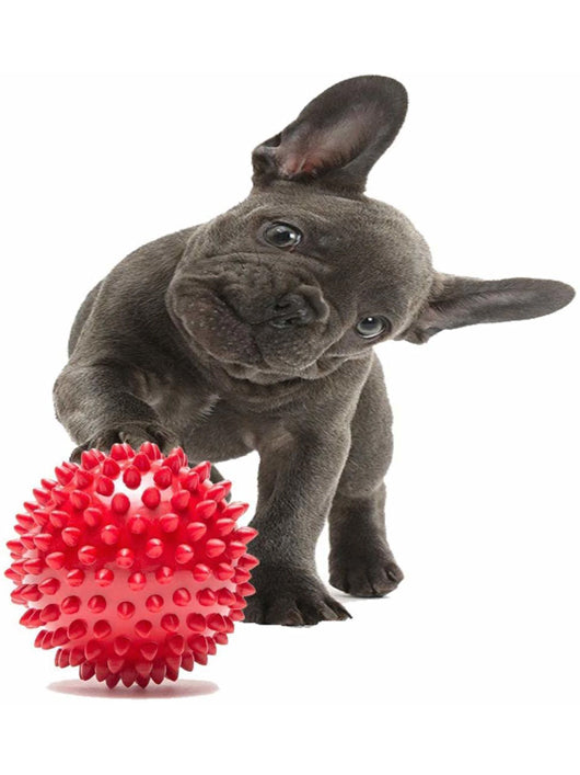Dozy Spike Hard Ball , Chewable Polyresin Spiked ball for Dog & Pets Polyresin Ball For Dog & Cat