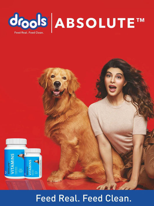 Drools Vitamin Tablet - 110 Pieces Pet Health Supplements (400 g)