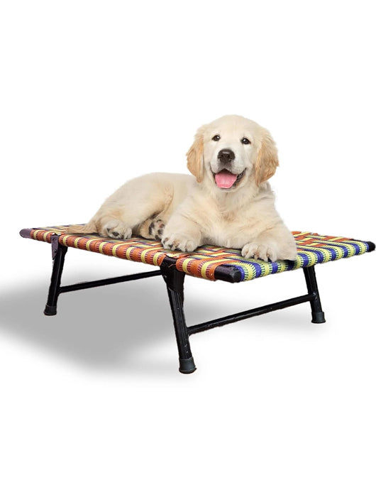 Hussain Funiture Dog Bed With Leg Fold Strong Quality Iron Frame With Strips L Pet Bed (MULTICOLOR)