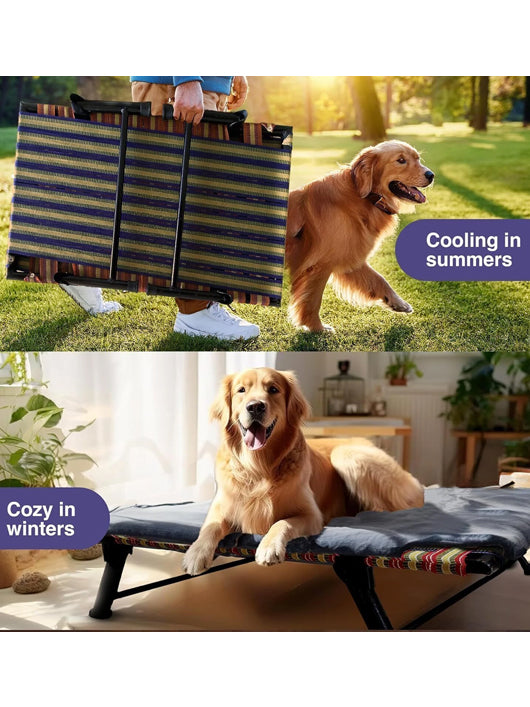 Hussain Funiture Dog Bed With Leg Fold Strong Quality Iron Frame With Strips L Pet Bed (MULTICOLOR)