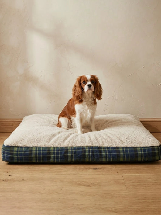 PAWPOURRI Dogs & Cats Premium Ultra Soft and Warm S Pet Bed (Green)