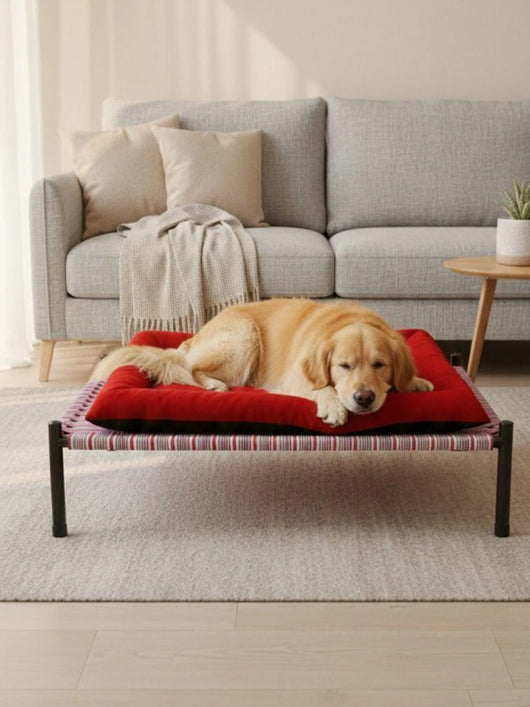 Civaam bwnblk-04 XXXL Pet Bed (Black)