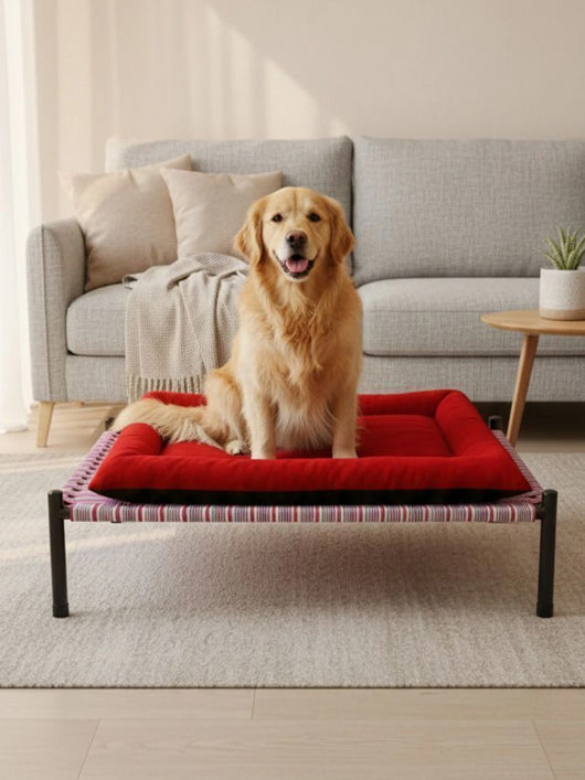 Civaam bwnblk-04 XXXL Pet Bed (Black)