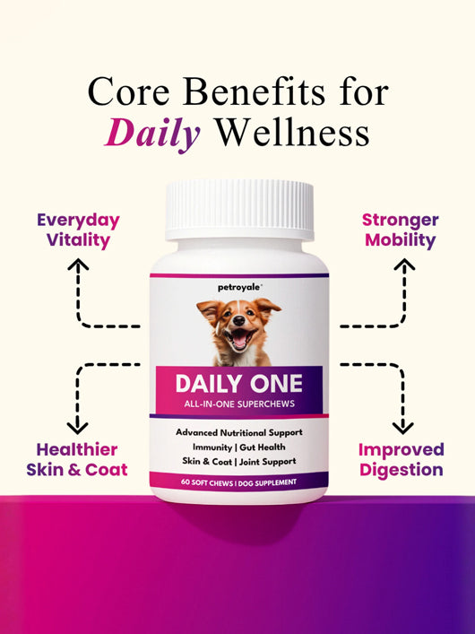 Pet Royale Daily One Supplement for Dogs – Multivitamin – Hip & Joint, Skin & Coat, Pet Health Supplements (60 Pieces)