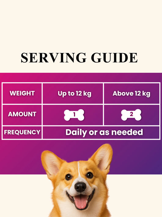 Pet Royale Daily One Supplement for Dogs – Multivitamin – Hip & Joint, Skin & Coat, Pet Health Supplements (60 Pieces)