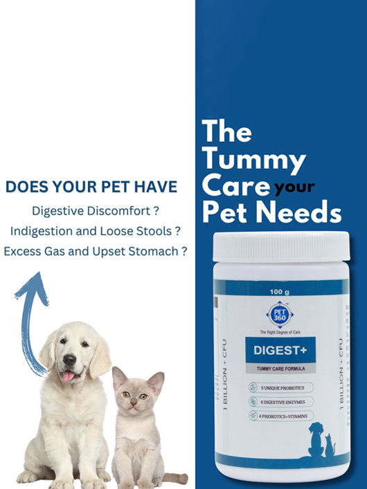 PET360 Digest+ Tummy Care Formula| Probiotics, Prebiotics, Digestive Enzymes & Vitamins Pet Health Supplements (100 g)
