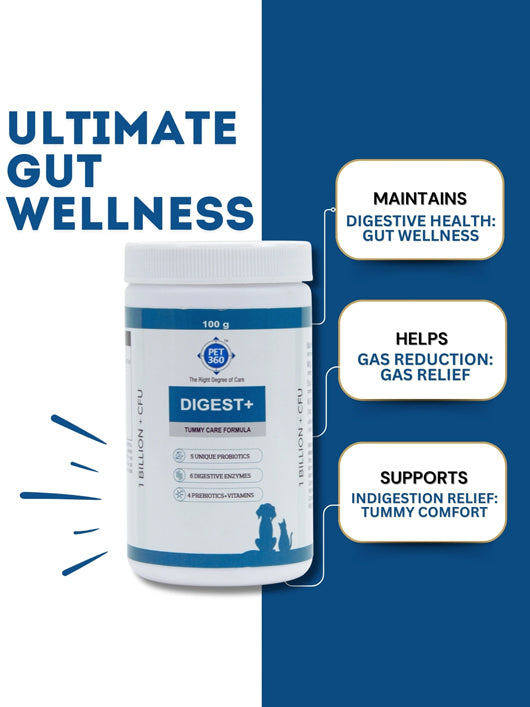 PET360 Digest+ Tummy Care Formula| Probiotics, Prebiotics, Digestive Enzymes & Vitamins Pet Health Supplements (100 g)