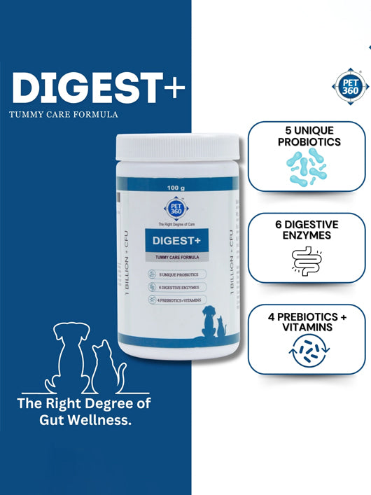 PET360 Digest+ Tummy Care Formula| Probiotics, Prebiotics, Digestive Enzymes & Vitamins Pet Health Supplements (100 g)