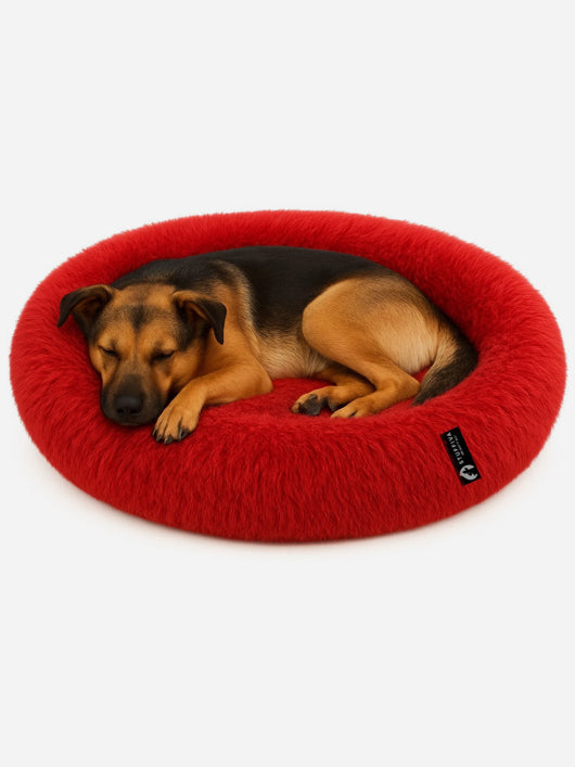 Stuffiva PBOVAL L Pet Bed (RED)