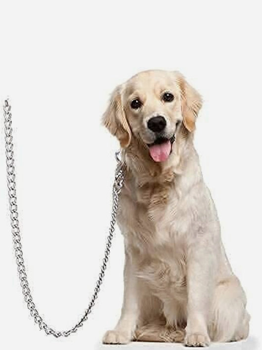 SUPER CHAIN Dog Belt Combo Nylon Collar with Heavy Chain Leash Dog Collar & Leash (Medium, Blue)