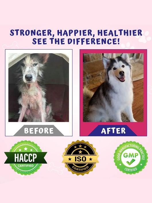 Tail & Collar Club Fabcoat dog & Cat wellness with Omega 3,6 &9 Pet Health Supplements (200 ml)
