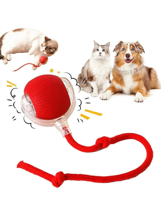 decorvaiz Smart LED 360° Rotating Cat Toy Ball Cat Dancing Ball Pet Rolling Ball Silicone Ball For Dog & Cat