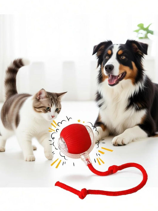 decorvaiz Smart LED 360° Rotating Cat Toy Ball Cat Dancing Ball Pet Rolling Ball Silicone Ball For Dog & Cat