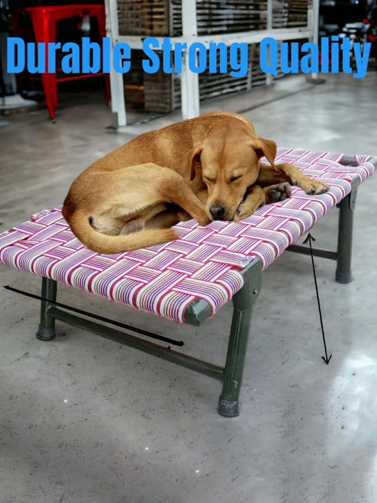 AAURAS Diamond Dog Orthopedic for Large Washable Cover & Nonskid Bottom, L Pet Bed (MULTICOLOR)